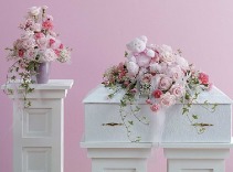 Soft Thoughts  Sympathy Collection