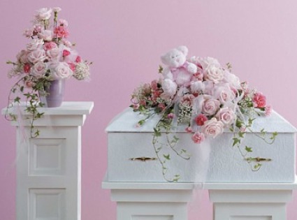 Soft Thoughts  Sympathy Collection