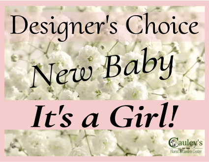 Baby Girl Designer's Choice Flower Arrangement