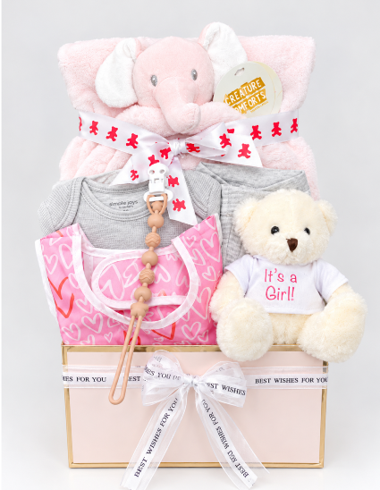 Baby Girl Gift Basket – Newborn Baby Gift Set  