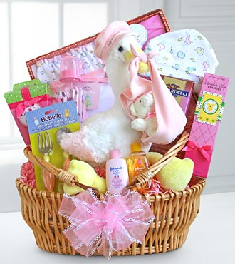 Baby Girl Stork 