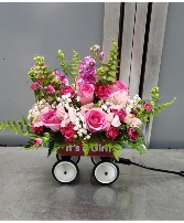 Baby Girl Wagon (24 hour notice) 60.95