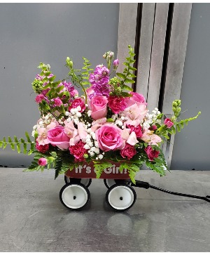 Baby Girl Wagon (24 hour notice) 60.95