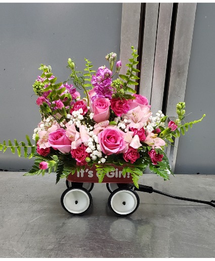 Baby Girl Wagon (24 hour notice) 60.95