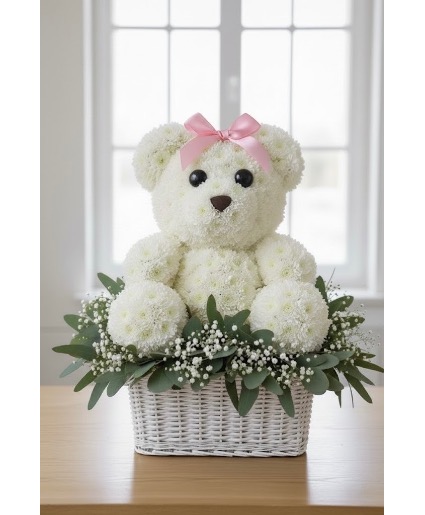 Baby Princess Bear 