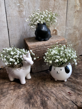 Baby's Breath Critters Arrangement in ceramic pot
