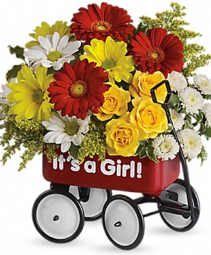 Baby's Wagon Girl New Baby