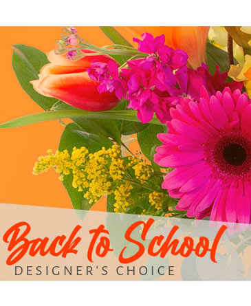 Back to School Beauty Designer's Choice in Hermann, MO | Terraflora Botanicals & Gifts
