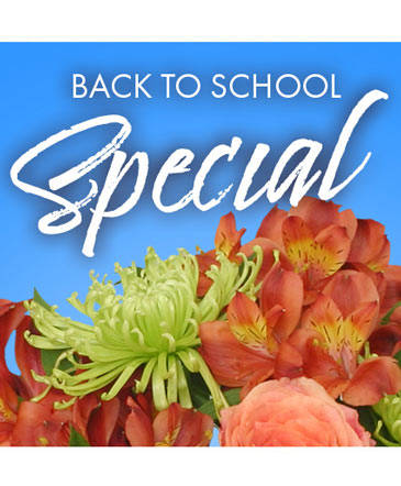 Back to School Special Designer's Choice in Marmaduke, AR | Choco Taco Florist ***TEST SHOP****