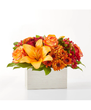 Backyard Bonfire F6s Bouquet