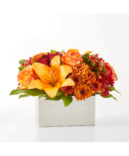Backyard Bonfire F6s Bouquet