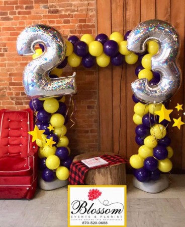 Balloon Arch  Balloon Garland 