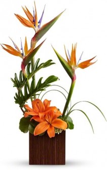 Bamboo Paradise Flowers Birthday for everyone