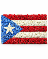 Banderas de Puerto Rico 