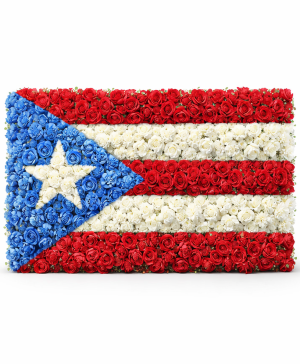 Banderas de Puerto Rico 