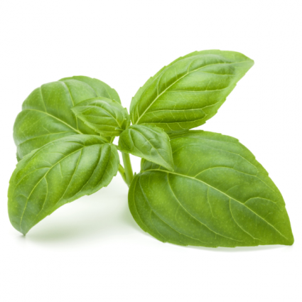 Basil Infused Olive Oil 
