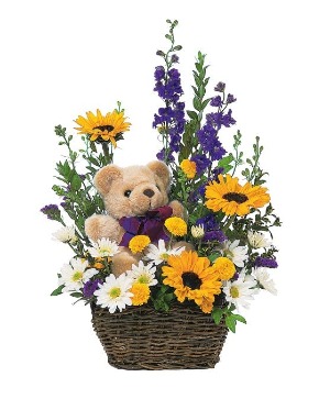 Basket & Bear TF47-5 Arrangement