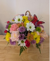 Basket full of daisies  apache junction mesa 
