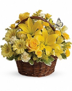 Basket full of wishes 