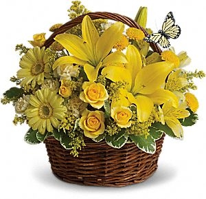 BASKET FULL OF WISHES 