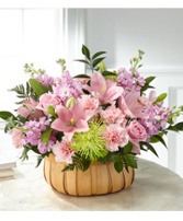 Basket Garden 