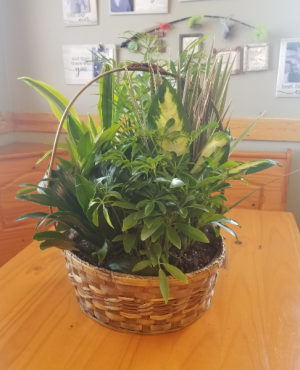 Basket Garden(12in) 