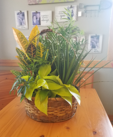 Basket Garden(14in) 