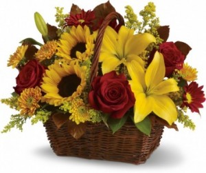 Basket of Blessings Mixed Arrangement