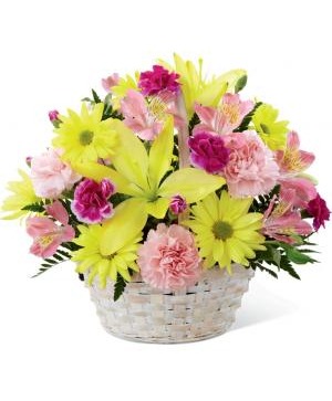 Basket of Cheer cheerful 