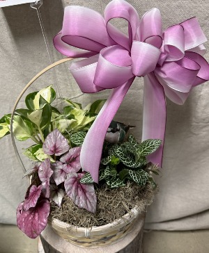 Basket of Hope Plant Basket