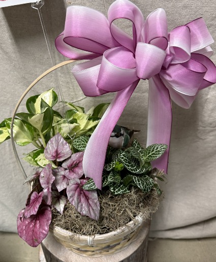 Basket of Hope Plant Basket