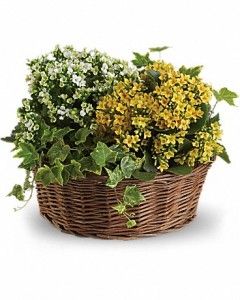 Basket Of Joy  in Jasper, TX | Bobbie's Bokay Florist