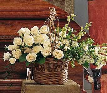 Basket of Light 