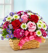 Basket of Surprise 
