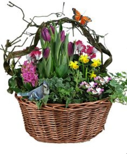 basket of spring color  Easter 