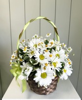 Basket of Sunshine 