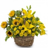 Basket of Sunshine 