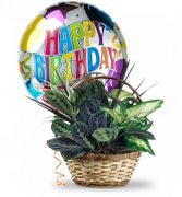 Plant Basket with Mylar Balloon  $80.95