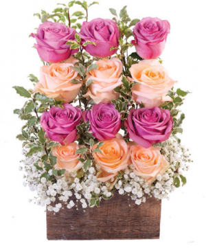 BASKET ROSES 