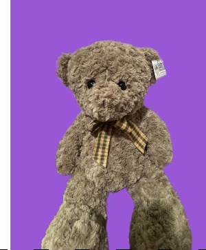 Baxter Bear 