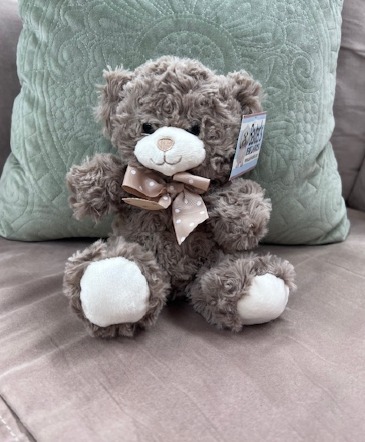 Baxter Bear - Brown Small   in York, NE | THE FLOWER BOX