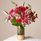 classy stargazers 