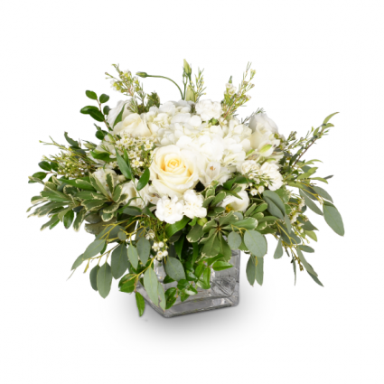 Be the Light Arrangement