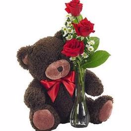 Teddy & Roses  