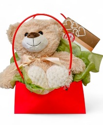 Bear in a purse 