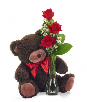 Bear Love 