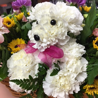 Beary Glad To Know You 