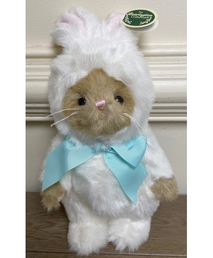 Beary Harey Bearington Collection