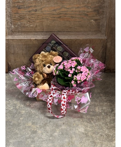 Beary Sweet Gifts and Plant