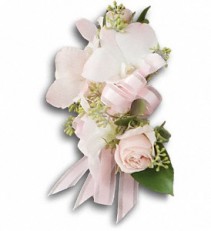 Beautiful Blush Corsage 